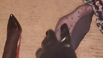 I tease these sheer black pantyhose with my high-heeled feet, driving you wild with every seductive movement. My nylon-clad soles are begging for your attention as I show off this sexy crossdressing look.